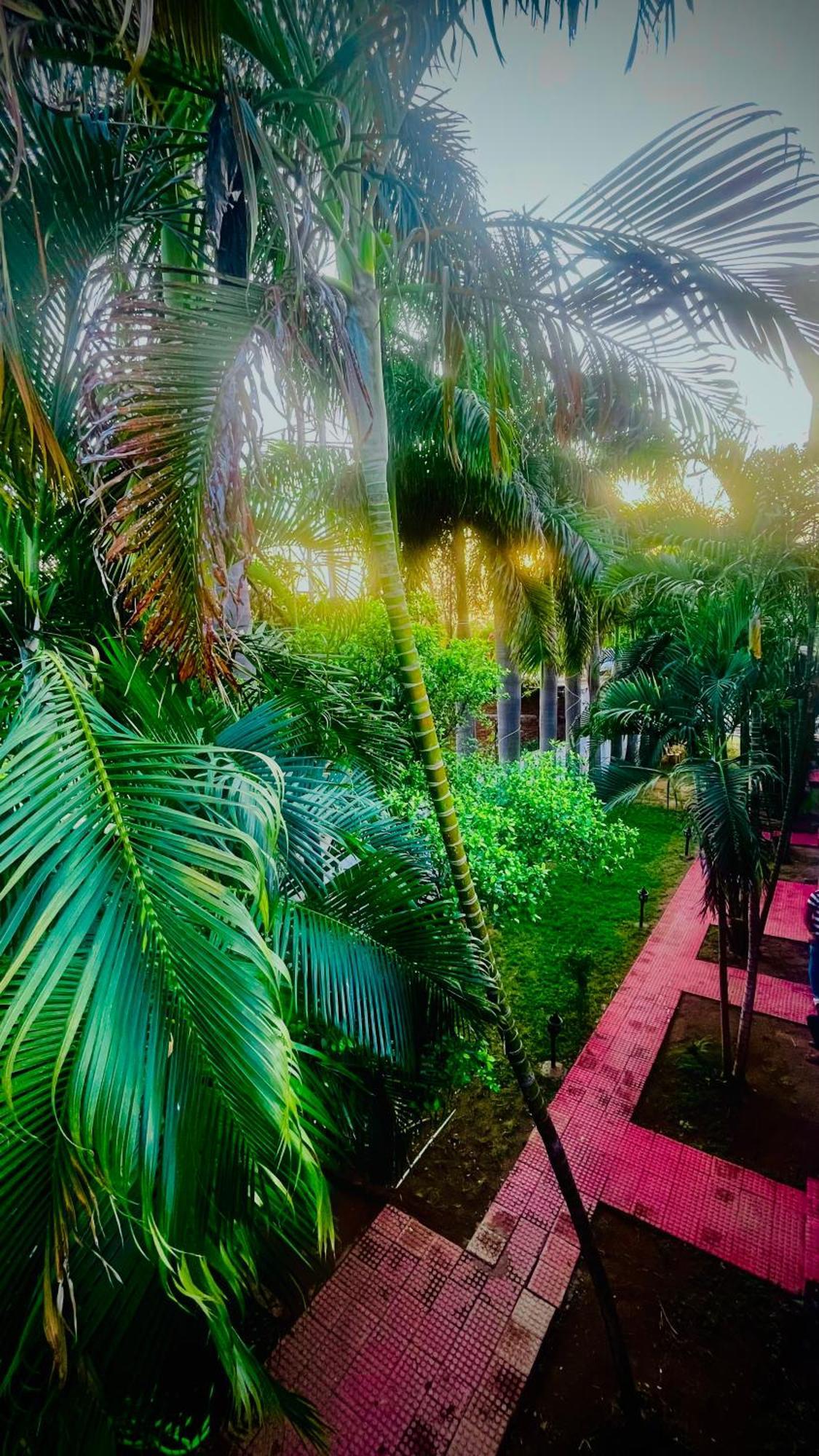 Hotel Jungle Palace Resort Umariā Eksteriør billede
