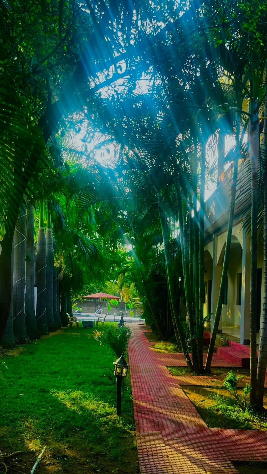Hotel Jungle Palace Resort Umariā Eksteriør billede